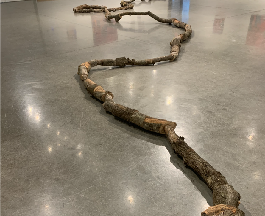 playground 2022, tree branches