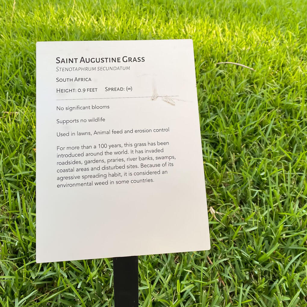 Front Yard Museum 2020, aluminum signage